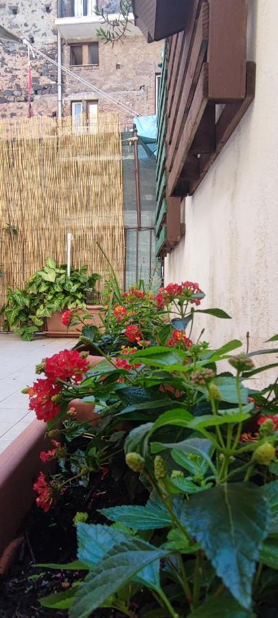 Downtown Vicino Al Duomo Apartment คาตาเนีย ภายนอก รูปภาพ