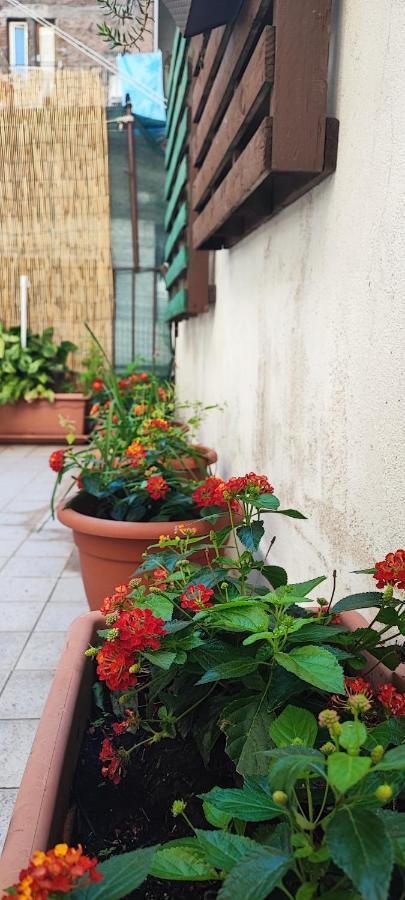 Downtown Vicino Al Duomo Apartment คาตาเนีย ภายนอก รูปภาพ